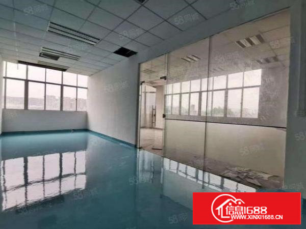 塘厦横塘独院标准2楼2200平方！全层蓝色地坪漆精装修