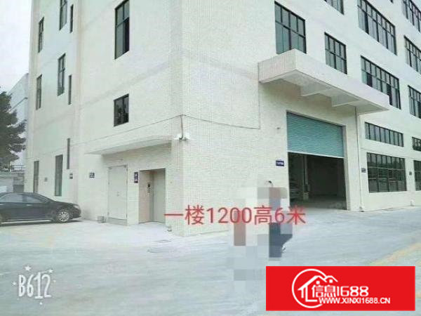 凤岗清溪外环高速路口6米高一楼800平带阁楼办公室厂房出租