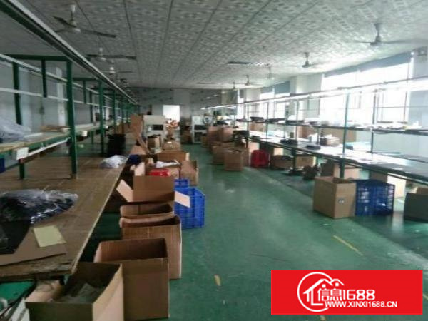 塘尾二楼带装修厂500平出租