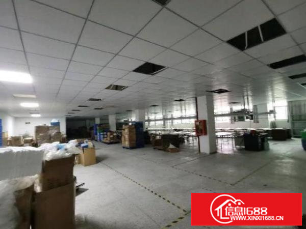 可办环评横岗独门独院厂房8000平方含宿舍合同8年