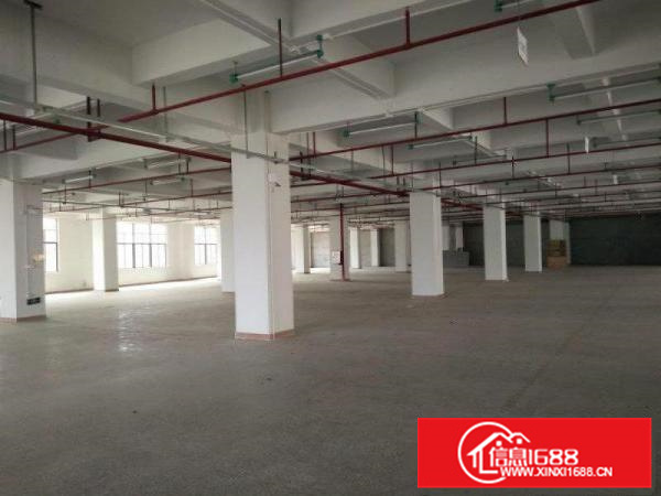 惠阳区镇隆原房东独栋标准厂房面积12000平米出租