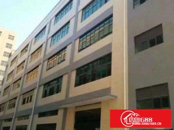 全新独院厂房可分层出租，可分栋出租，可整租。