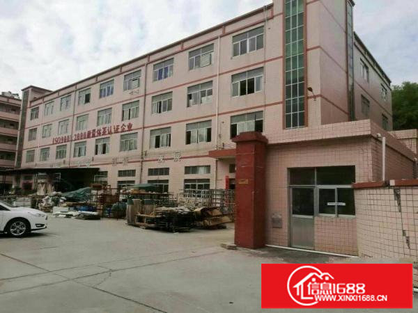 龙岗龙东独门独院4600平厂房出租