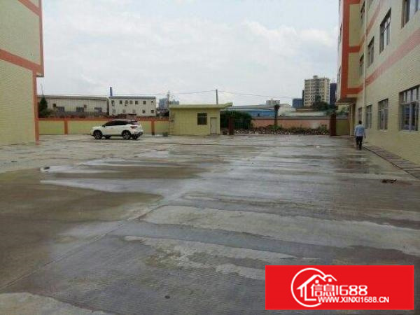 新圩10000m独院厂房出租