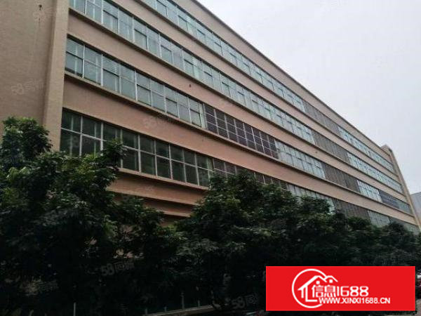 东坑镇高大上独院厂房10000平方招租，喷淋消防