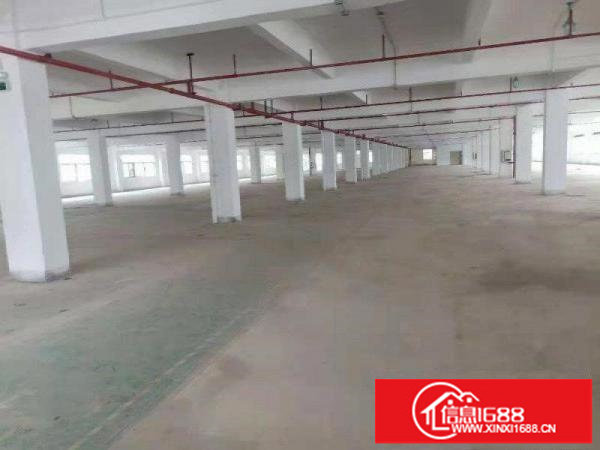 （出租）228独立园区独栋一楼700平可分割有红本