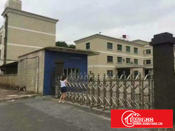 原房东标准厂房独栋3838方