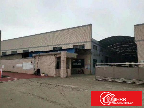 独门独院八千平单一层厂房火热招租800平起分租