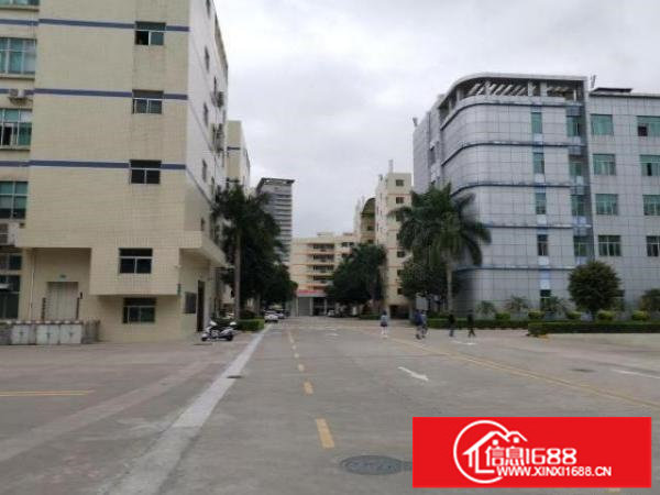 布吉李朗高新产业园3000平方原房东红本配套齐全