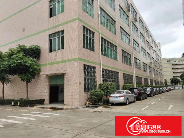 布吉大芬地铁口原房东厂房楼上带装修厂房出租871平米电商电子