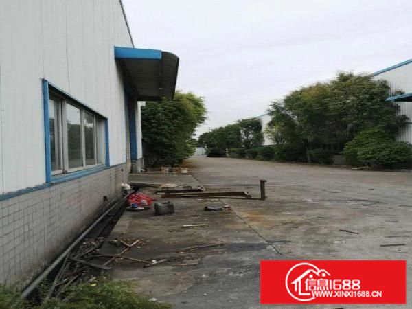 里水新出独院厂房（具体看信息及图片）