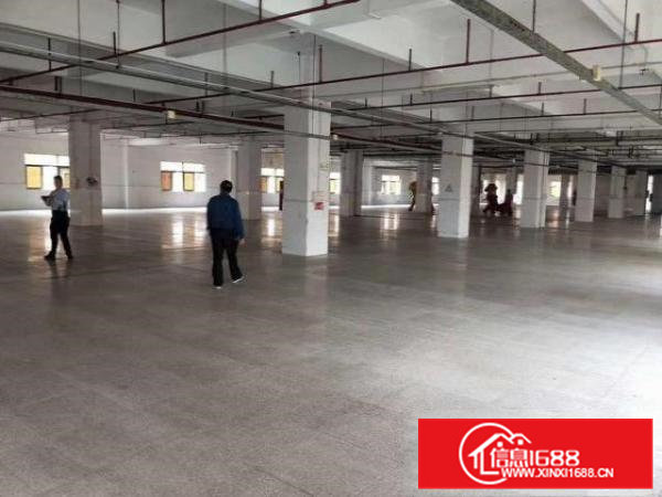 工业厂房一楼1000平，带装修环境超好，高6米原房东出租