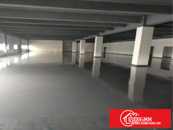 坂田300平方500平方