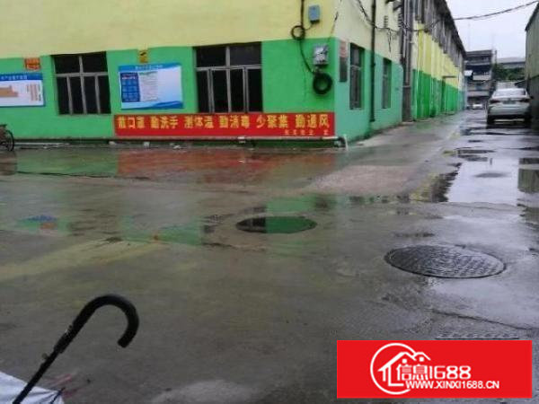 平湖良安田厂房一楼300、980平冻库配送