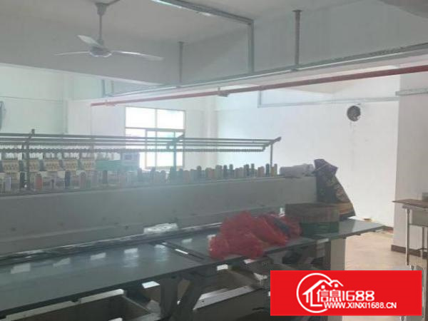 【房东直租】同乐一路仓库厂房整栋价优招租装修好带电梯