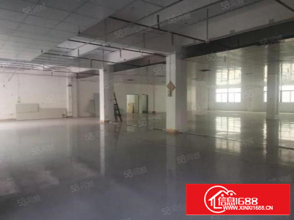 茶山新出独门独院厂房9300平可分租厂房办公楼宿舍各一栋