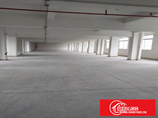 虎门厂房、写字楼、仓库、旺铺、出租