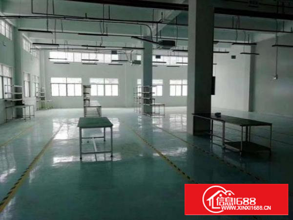 沙井后亭一楼整层厂房出租