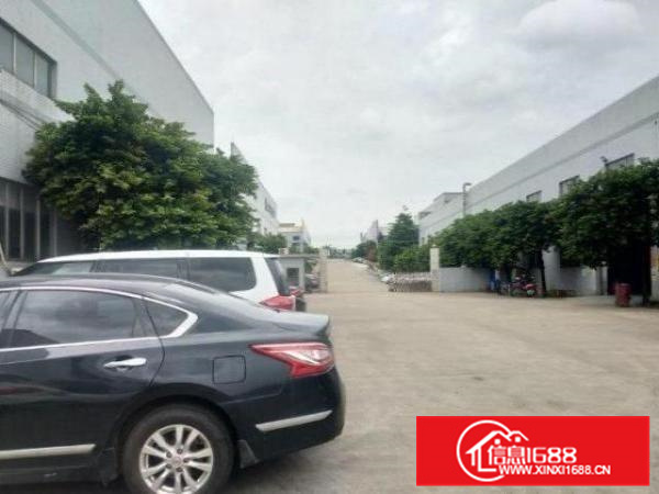 狮山红星钢构1620平厂房招租带行吊