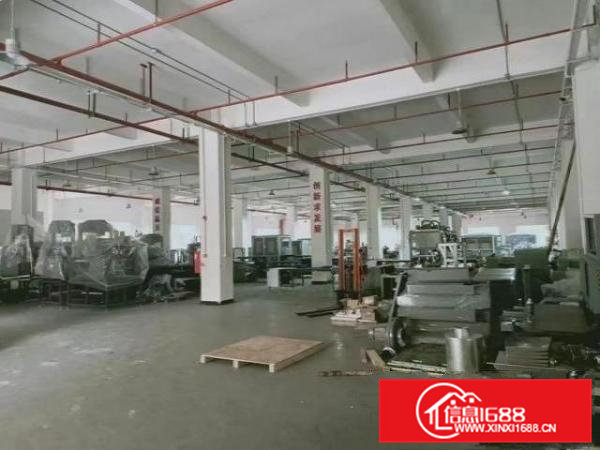 凤岗镇五联工业区新出1楼3700平高度7米全新厂房