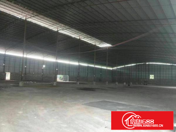 惠阳新墟3700平原房东独栋钢构高8米空地大可分租