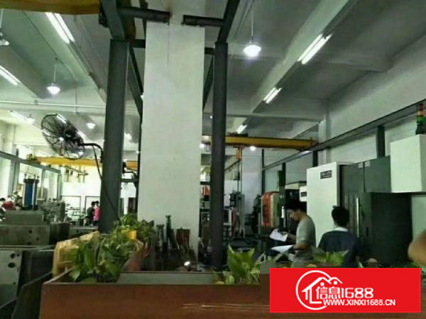 出租龙岗区坪地1楼1000平厂房，高6米，现成行车