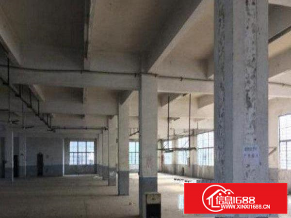 龙岗区龙东新出楼上2000平方标准厂房招租