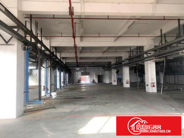 大岭山工业用地标准厂房好招工白菜价