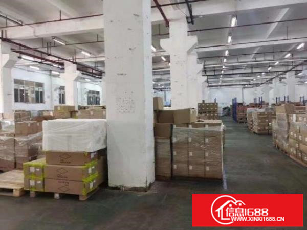 龙岗宝龙一楼6米高3500平方红本厂房出租