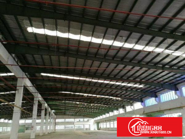 10米高一楼800平厂房出租300平方起分租