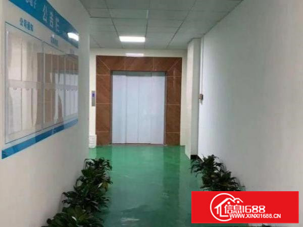 清溪三中新出三楼1100平方