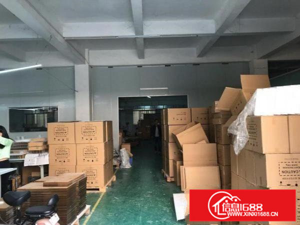 虎门镇新出原房东厂房实际面积16元一平米速抢，速抢