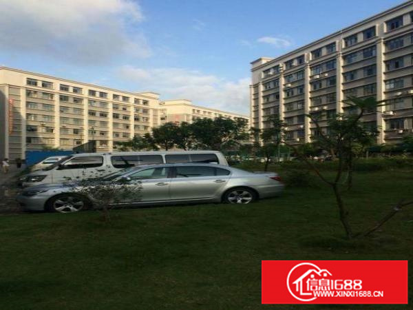 坂田30000平方厂房仓库招租