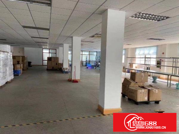 出租横沥镇石涌工业区