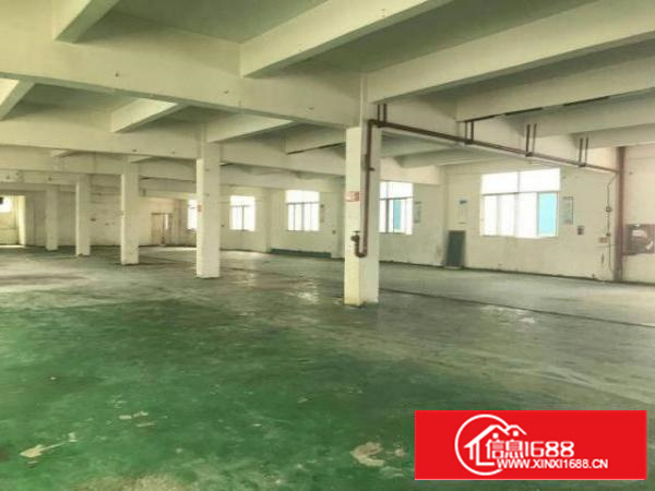 高埗新出标准楼房1500平米二楼厂房出租