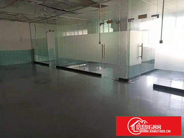 清溪大利新出一楼600平方13元急租可分租