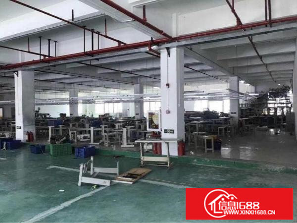 横岗228工业区原房东带装修1600平米厂房出租