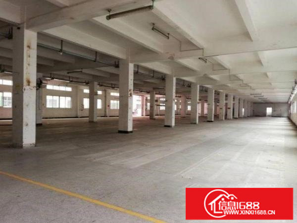 科技园厂房1500平2000平3000平招租