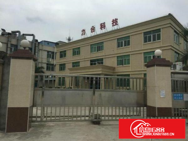 沥林高速路口11500平超靓厂房出租