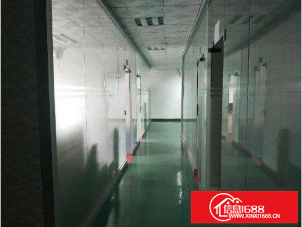 常平元江元新出700平米厂房豪华装修招租