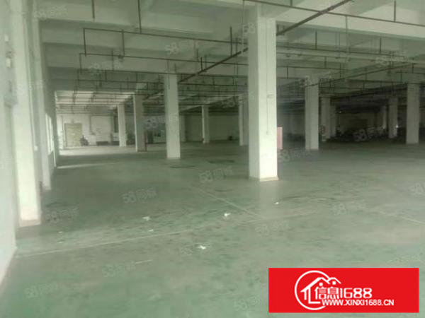 可办环评，大朗超靓工业园厂房1楼2楼各5000平，带地坪漆