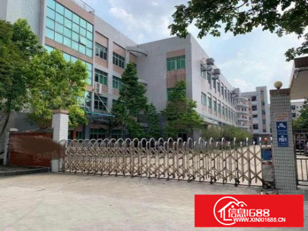 原房东地坪漆横沥西城工业区花园式独院厂房总面积13000平方