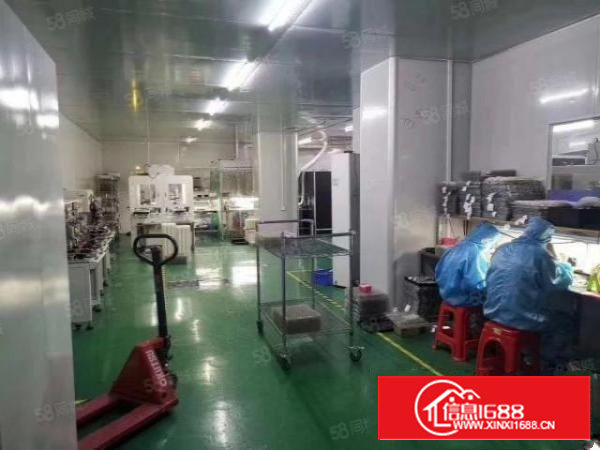 石岩应人石300平400平500平厂房出租分租办公室水电到位