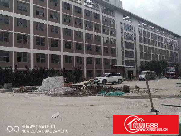 坪山坑梓新出独院标准红本厂房120000平合同十年可分栋租