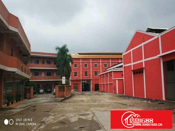 常平土塘新出独门独院砖墙厂房单一层8米滴水