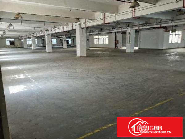 企石清湖村单层面积1250平方厂房出租可分组