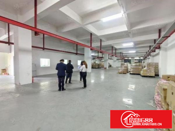 塘厦科苑城标准厂房，一楼700平实际面积出租！有行车无公摊