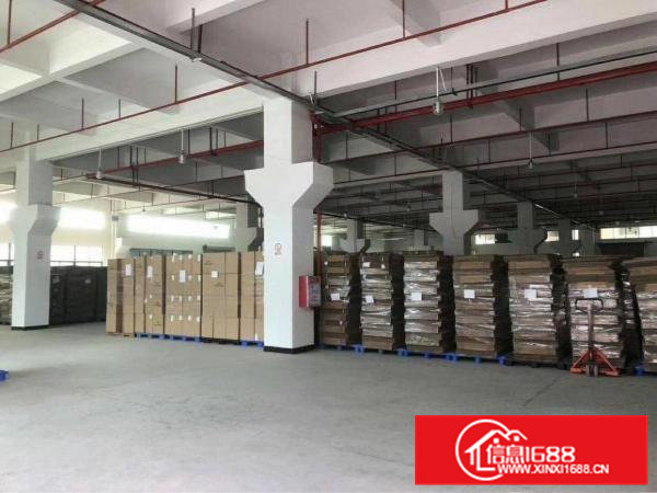 原房东三层独院厂房面积总计约5000平方米招租