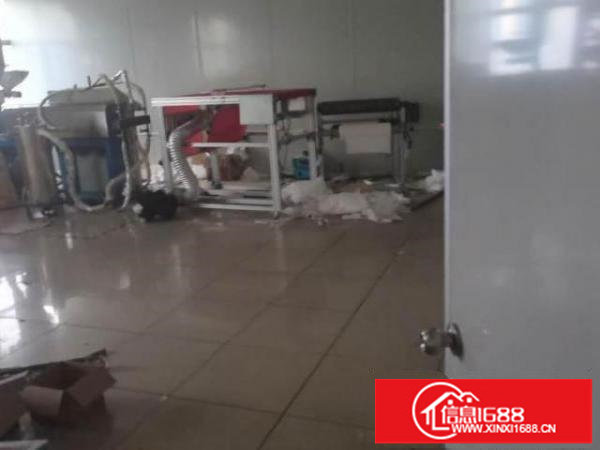 出租龙岗区坪地紫荆路17号