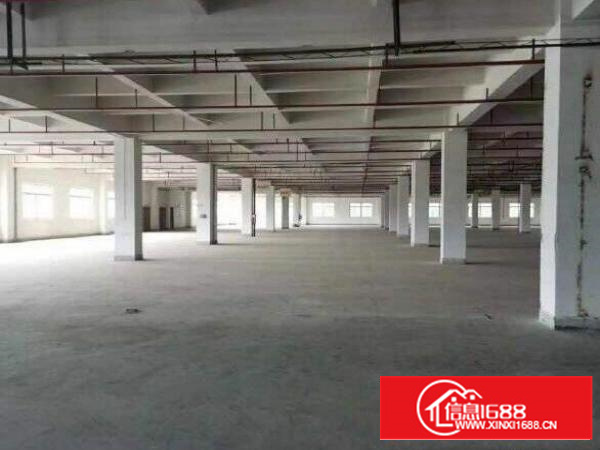 万江区新出原房东独门独院厂房